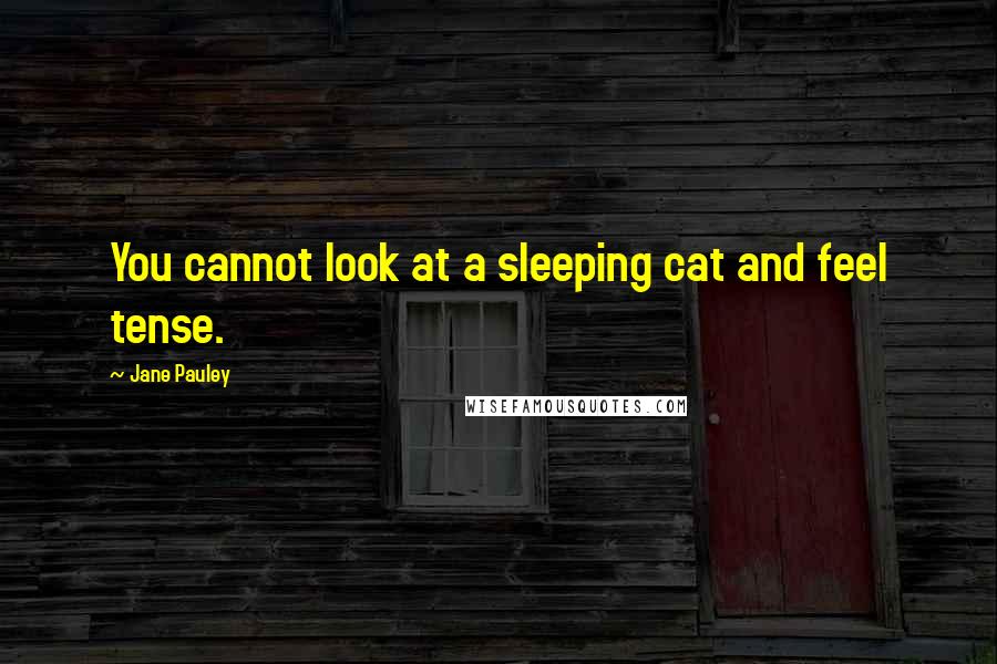 Jane Pauley Quotes: You cannot look at a sleeping cat and feel tense.