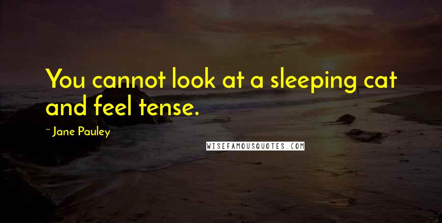 Jane Pauley Quotes: You cannot look at a sleeping cat and feel tense.