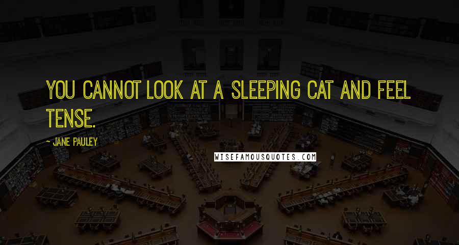 Jane Pauley Quotes: You cannot look at a sleeping cat and feel tense.