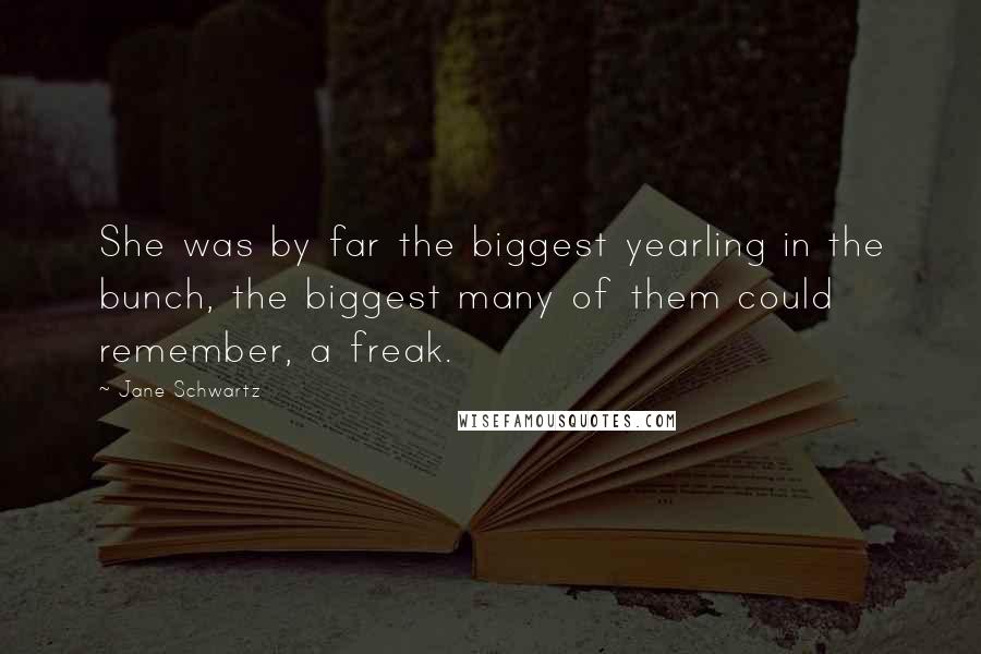 Jane Schwartz Quotes: She was by far the biggest yearling in the bunch, the biggest many of them could remember, a freak.