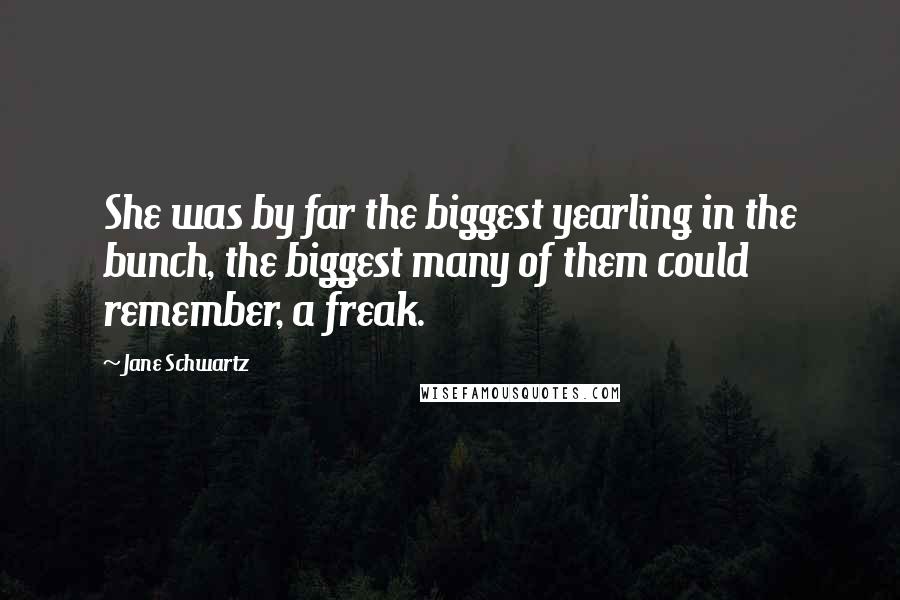 Jane Schwartz Quotes: She was by far the biggest yearling in the bunch, the biggest many of them could remember, a freak.