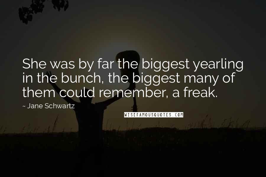 Jane Schwartz Quotes: She was by far the biggest yearling in the bunch, the biggest many of them could remember, a freak.