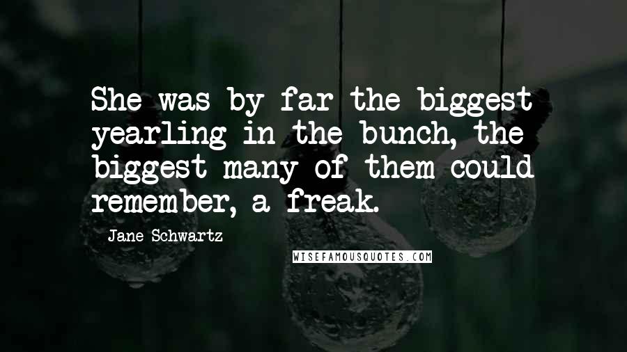 Jane Schwartz Quotes: She was by far the biggest yearling in the bunch, the biggest many of them could remember, a freak.