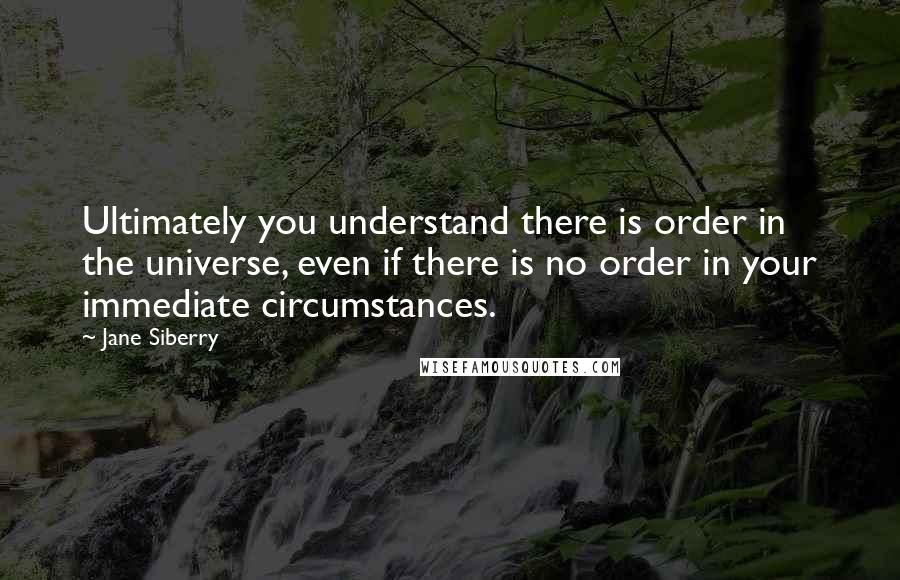 Jane Siberry Quotes: Ultimately you understand there is order in the universe, even if there is no order in your immediate circumstances.