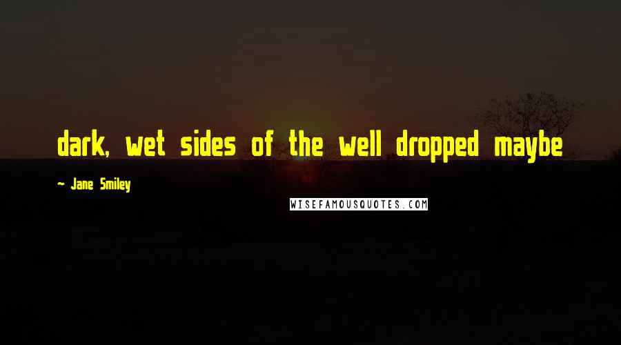 Jane Smiley Quotes: dark, wet sides of the well dropped maybe