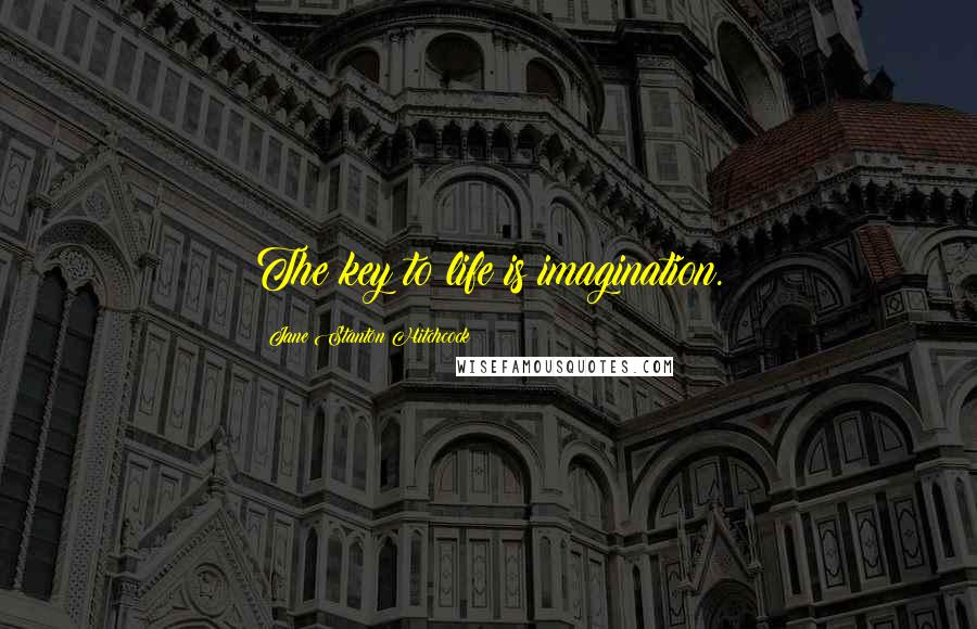 Jane Stanton Hitchcock Quotes: The key to life is imagination.