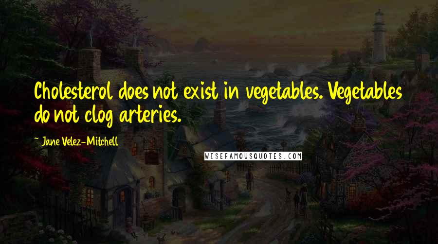 Jane Velez-Mitchell Quotes: Cholesterol does not exist in vegetables. Vegetables do not clog arteries.