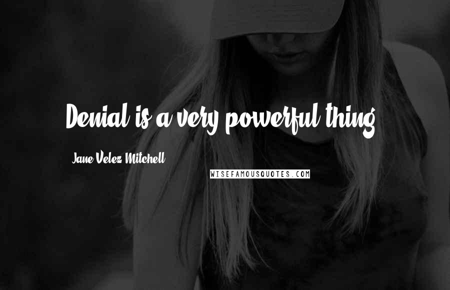 Jane Velez-Mitchell Quotes: Denial is a very powerful thing.