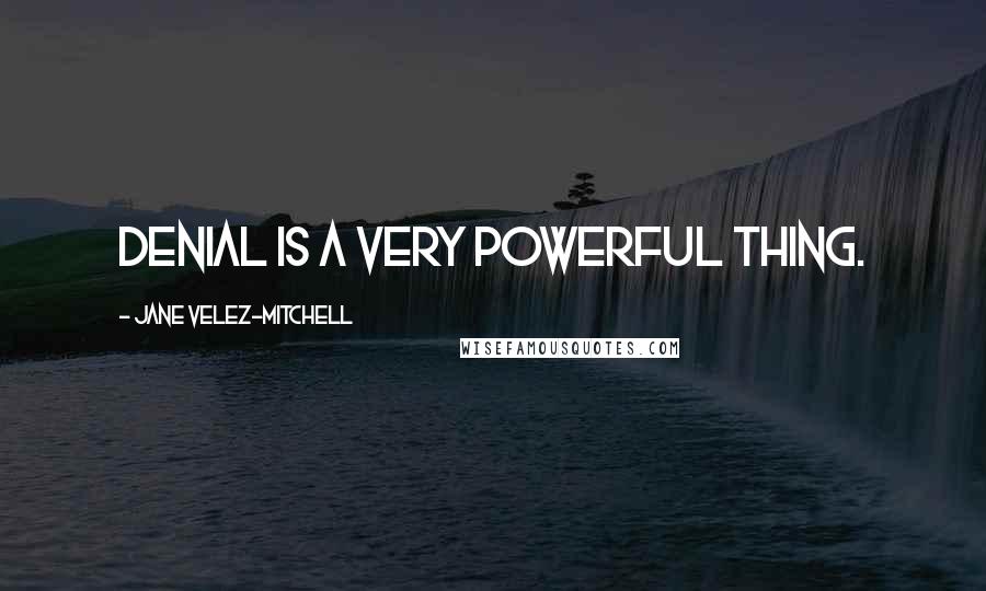Jane Velez-Mitchell Quotes: Denial is a very powerful thing.