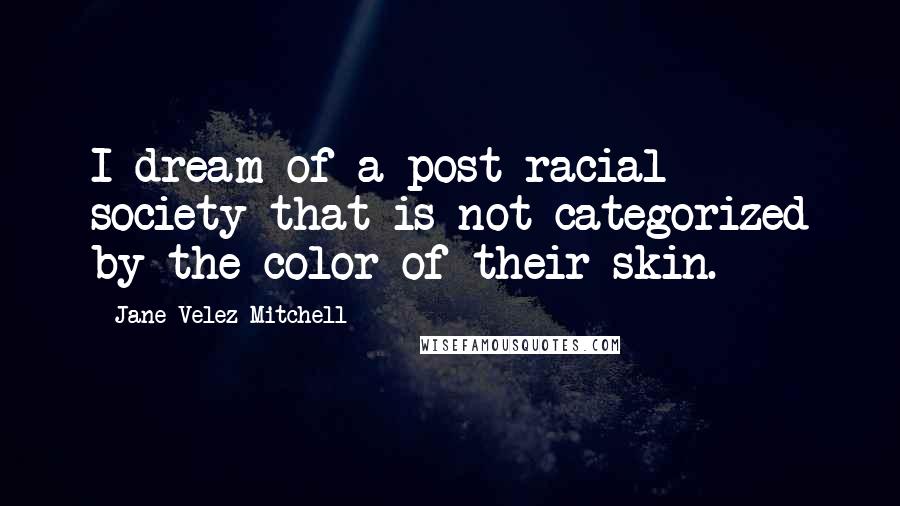 Jane Velez-Mitchell Quotes: I dream of a post-racial society that is not categorized by the color of their skin.