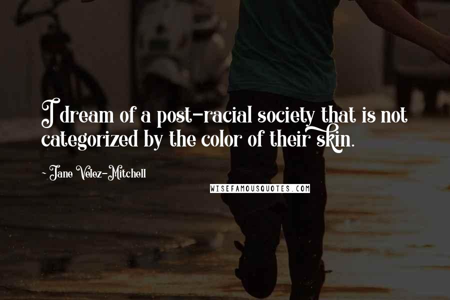 Jane Velez-Mitchell Quotes: I dream of a post-racial society that is not categorized by the color of their skin.