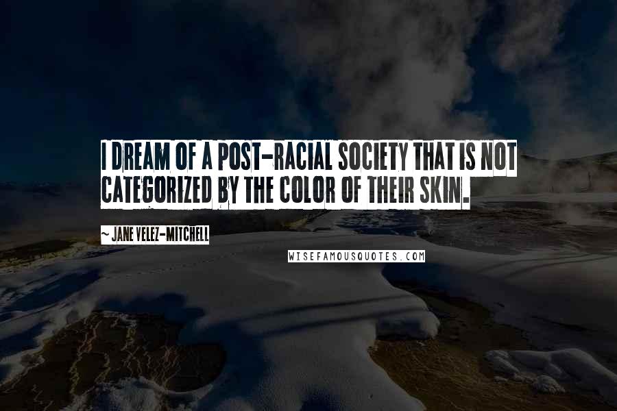 Jane Velez-Mitchell Quotes: I dream of a post-racial society that is not categorized by the color of their skin.