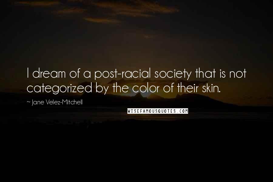 Jane Velez-Mitchell Quotes: I dream of a post-racial society that is not categorized by the color of their skin.