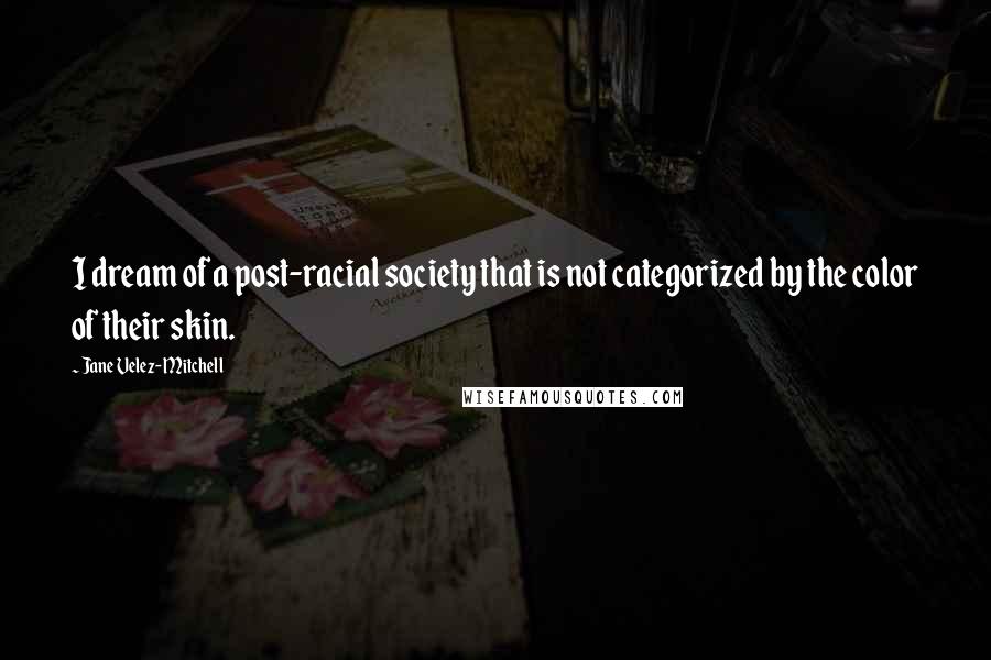 Jane Velez-Mitchell Quotes: I dream of a post-racial society that is not categorized by the color of their skin.