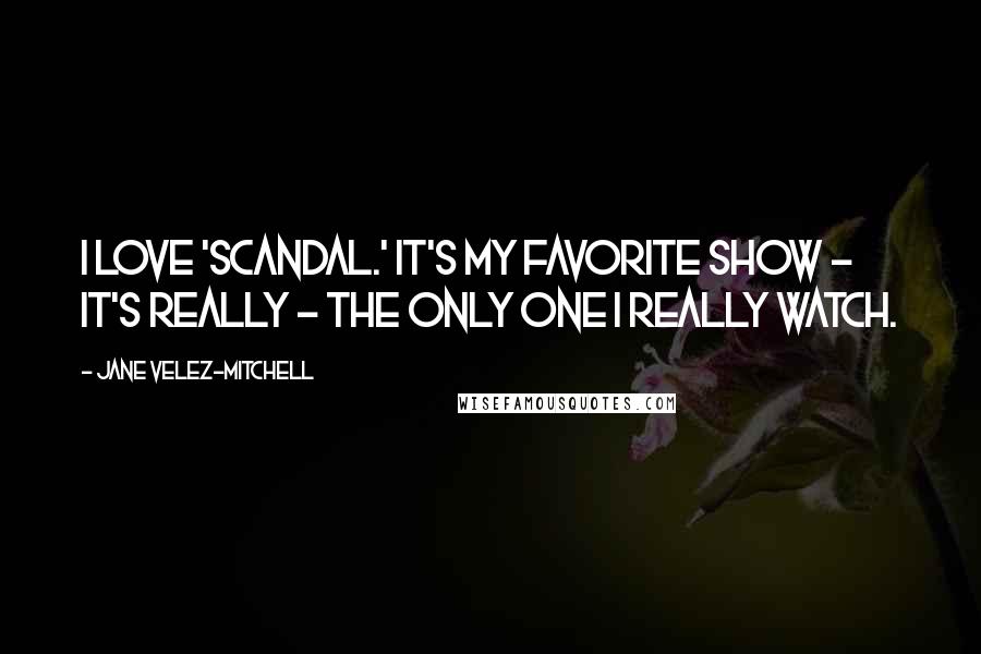 Jane Velez-Mitchell Quotes: I love 'Scandal.' It's my favorite show - it's really - the only one I really watch.