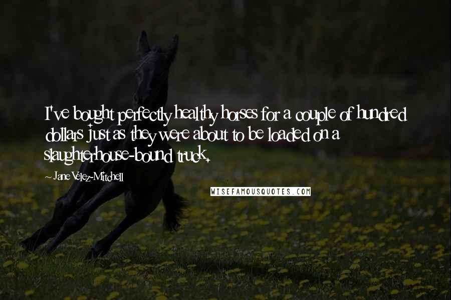 Jane Velez-Mitchell Quotes: I've bought perfectly healthy horses for a couple of hundred dollars just as they were about to be loaded on a slaughterhouse-bound truck.