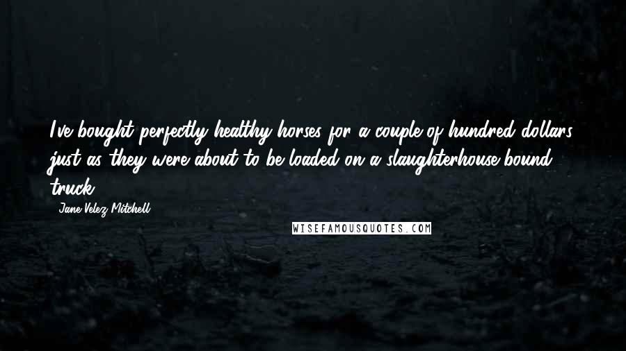 Jane Velez-Mitchell Quotes: I've bought perfectly healthy horses for a couple of hundred dollars just as they were about to be loaded on a slaughterhouse-bound truck.