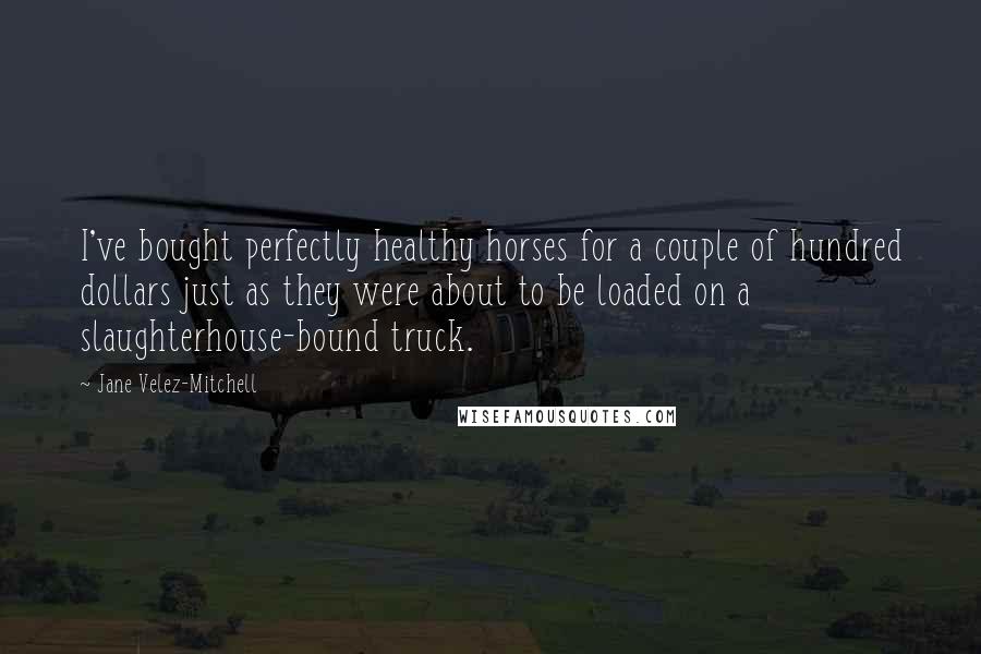 Jane Velez-Mitchell Quotes: I've bought perfectly healthy horses for a couple of hundred dollars just as they were about to be loaded on a slaughterhouse-bound truck.