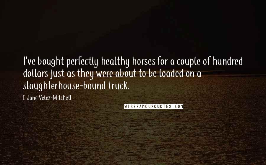 Jane Velez-Mitchell Quotes: I've bought perfectly healthy horses for a couple of hundred dollars just as they were about to be loaded on a slaughterhouse-bound truck.