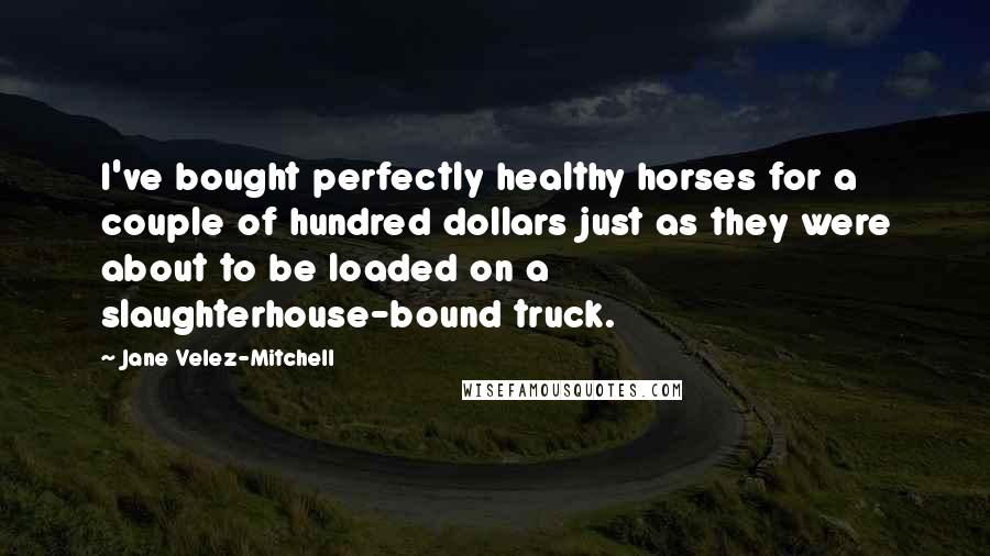 Jane Velez-Mitchell Quotes: I've bought perfectly healthy horses for a couple of hundred dollars just as they were about to be loaded on a slaughterhouse-bound truck.