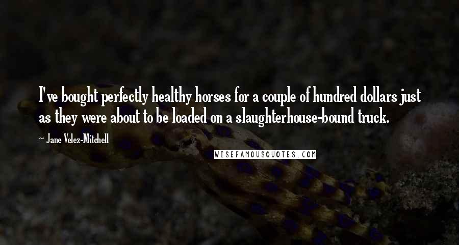Jane Velez-Mitchell Quotes: I've bought perfectly healthy horses for a couple of hundred dollars just as they were about to be loaded on a slaughterhouse-bound truck.
