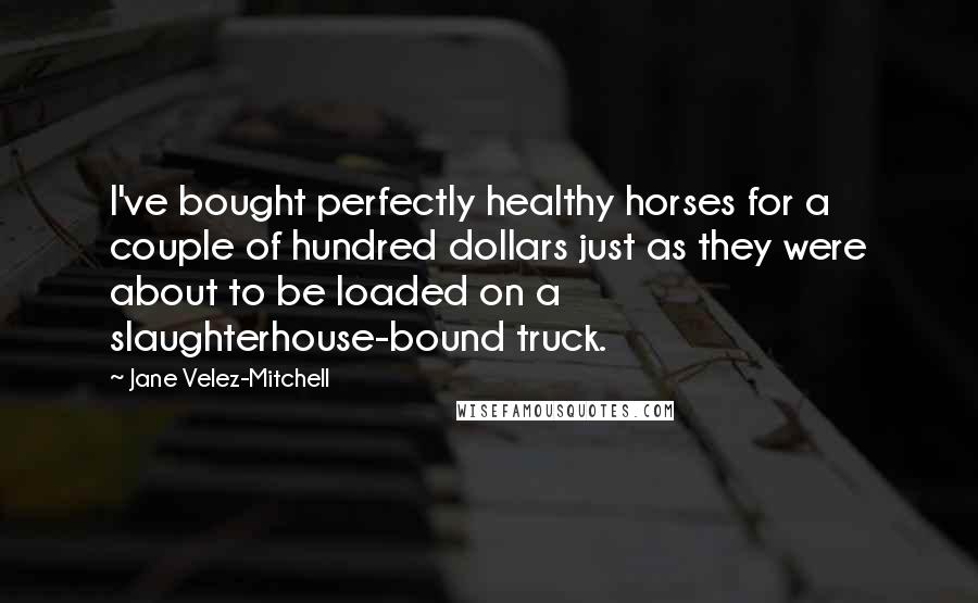 Jane Velez-Mitchell Quotes: I've bought perfectly healthy horses for a couple of hundred dollars just as they were about to be loaded on a slaughterhouse-bound truck.