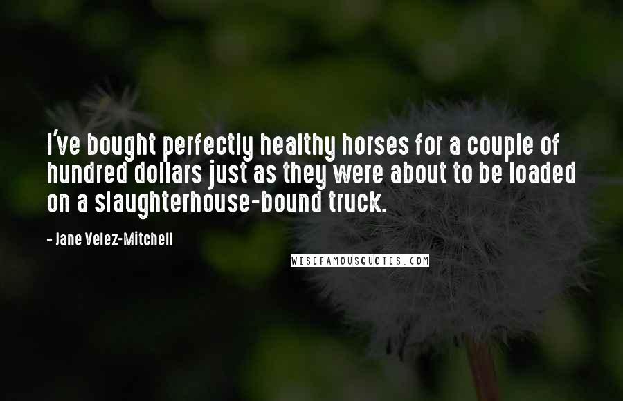 Jane Velez-Mitchell Quotes: I've bought perfectly healthy horses for a couple of hundred dollars just as they were about to be loaded on a slaughterhouse-bound truck.