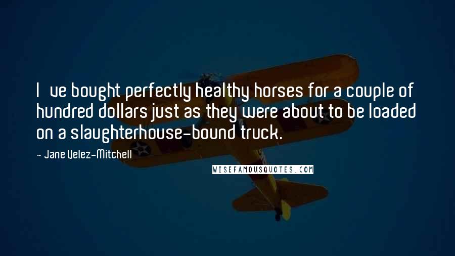 Jane Velez-Mitchell Quotes: I've bought perfectly healthy horses for a couple of hundred dollars just as they were about to be loaded on a slaughterhouse-bound truck.