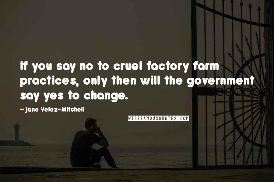 Jane Velez-Mitchell Quotes: If you say no to cruel factory farm practices, only then will the government say yes to change.