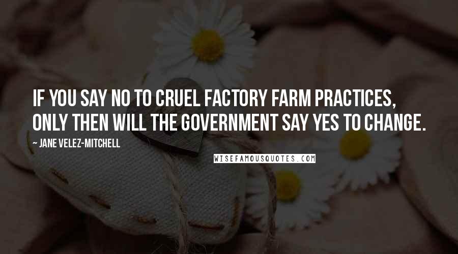 Jane Velez-Mitchell Quotes: If you say no to cruel factory farm practices, only then will the government say yes to change.