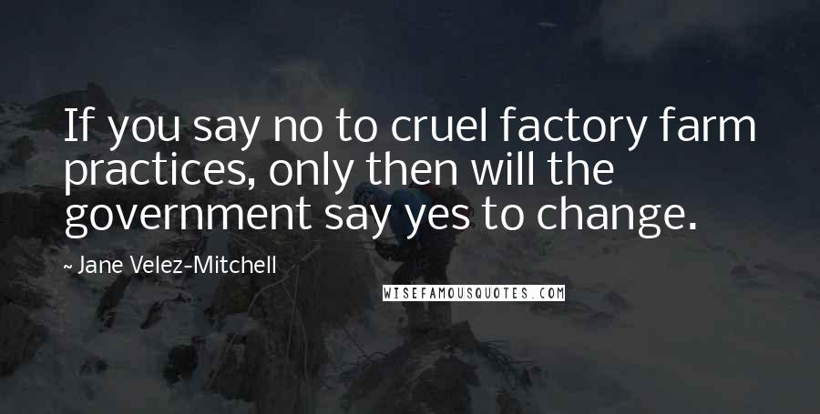 Jane Velez-Mitchell Quotes: If you say no to cruel factory farm practices, only then will the government say yes to change.