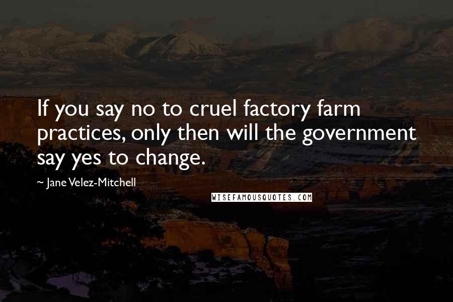 Jane Velez-Mitchell Quotes: If you say no to cruel factory farm practices, only then will the government say yes to change.