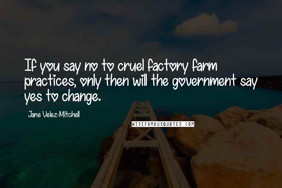 Jane Velez-Mitchell Quotes: If you say no to cruel factory farm practices, only then will the government say yes to change.