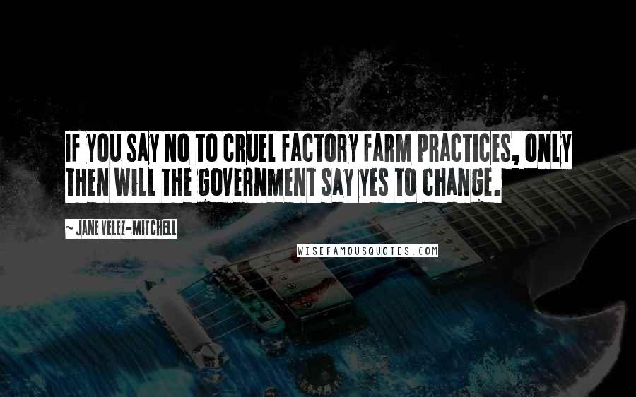 Jane Velez-Mitchell Quotes: If you say no to cruel factory farm practices, only then will the government say yes to change.