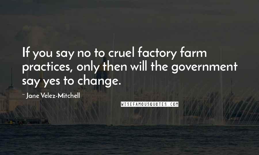 Jane Velez-Mitchell Quotes: If you say no to cruel factory farm practices, only then will the government say yes to change.