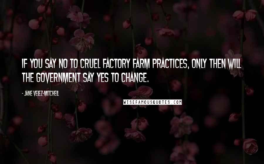 Jane Velez-Mitchell Quotes: If you say no to cruel factory farm practices, only then will the government say yes to change.