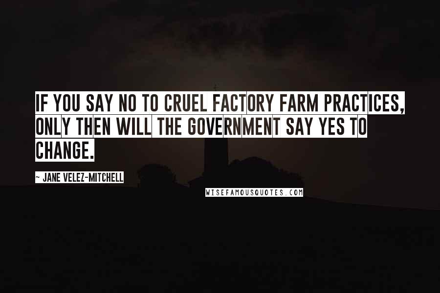 Jane Velez-Mitchell Quotes: If you say no to cruel factory farm practices, only then will the government say yes to change.