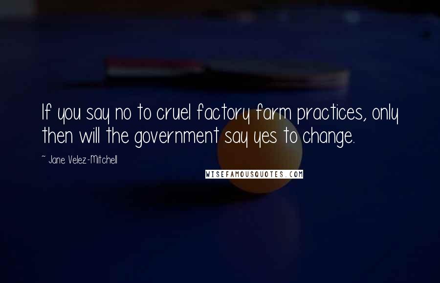 Jane Velez-Mitchell Quotes: If you say no to cruel factory farm practices, only then will the government say yes to change.