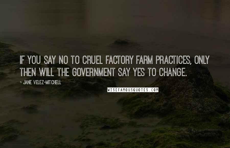 Jane Velez-Mitchell Quotes: If you say no to cruel factory farm practices, only then will the government say yes to change.
