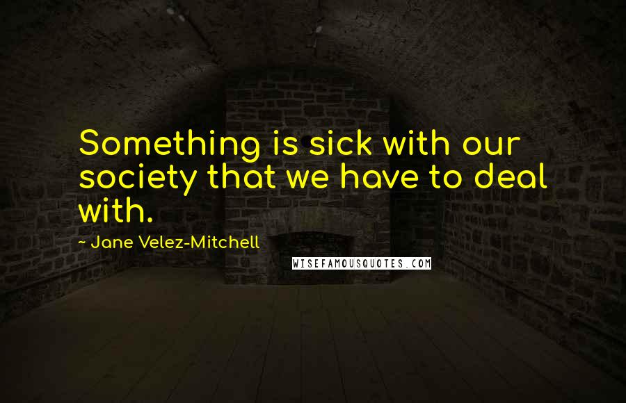 Jane Velez-Mitchell Quotes: Something is sick with our society that we have to deal with.
