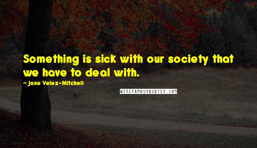 Jane Velez-Mitchell Quotes: Something is sick with our society that we have to deal with.