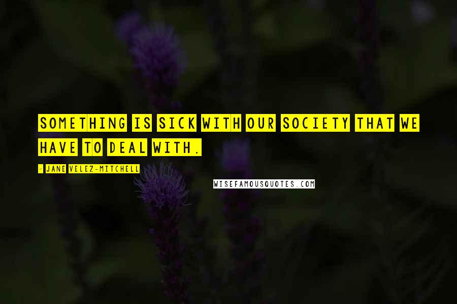 Jane Velez-Mitchell Quotes: Something is sick with our society that we have to deal with.