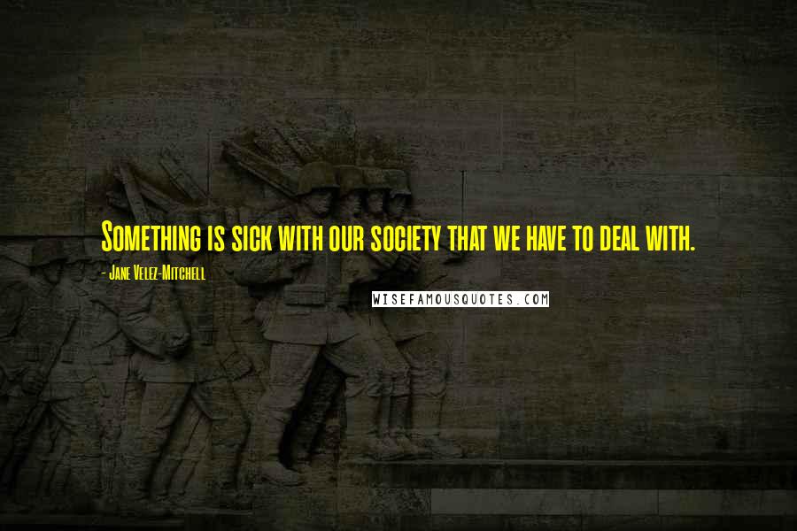 Jane Velez-Mitchell Quotes: Something is sick with our society that we have to deal with.