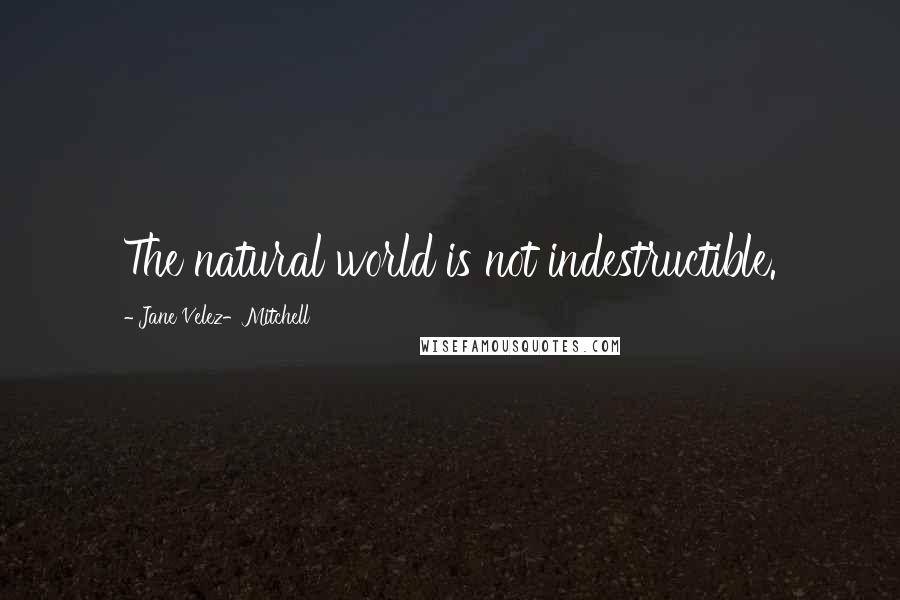 Jane Velez-Mitchell Quotes: The natural world is not indestructible.