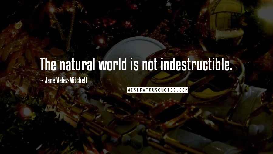 Jane Velez-Mitchell Quotes: The natural world is not indestructible.
