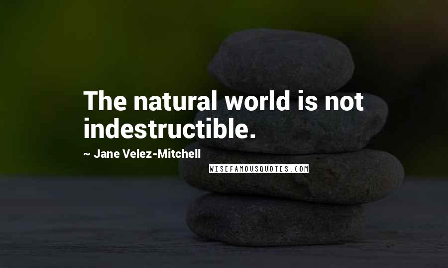 Jane Velez-Mitchell Quotes: The natural world is not indestructible.
