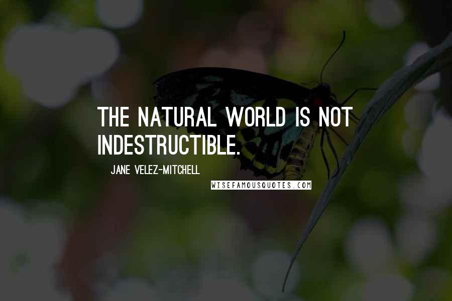 Jane Velez-Mitchell Quotes: The natural world is not indestructible.