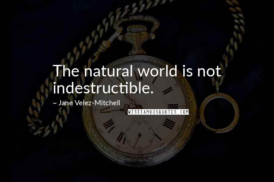 Jane Velez-Mitchell Quotes: The natural world is not indestructible.