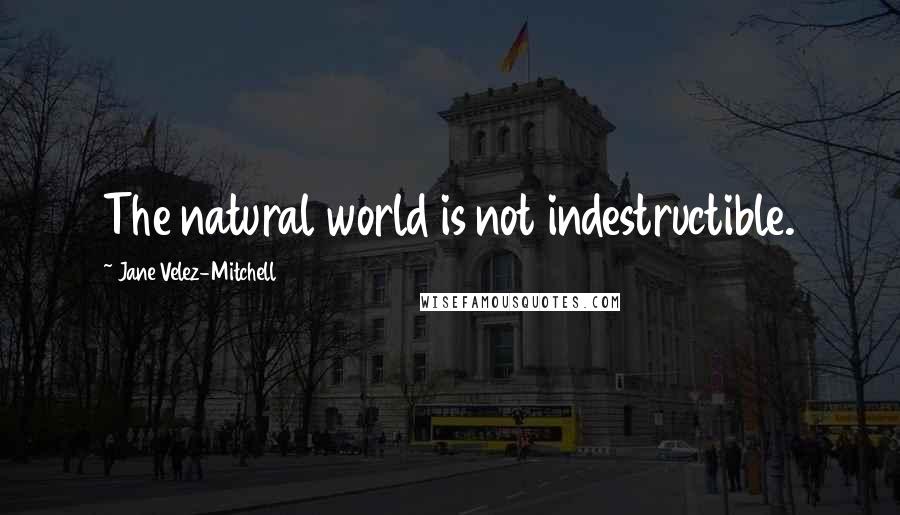Jane Velez-Mitchell Quotes: The natural world is not indestructible.