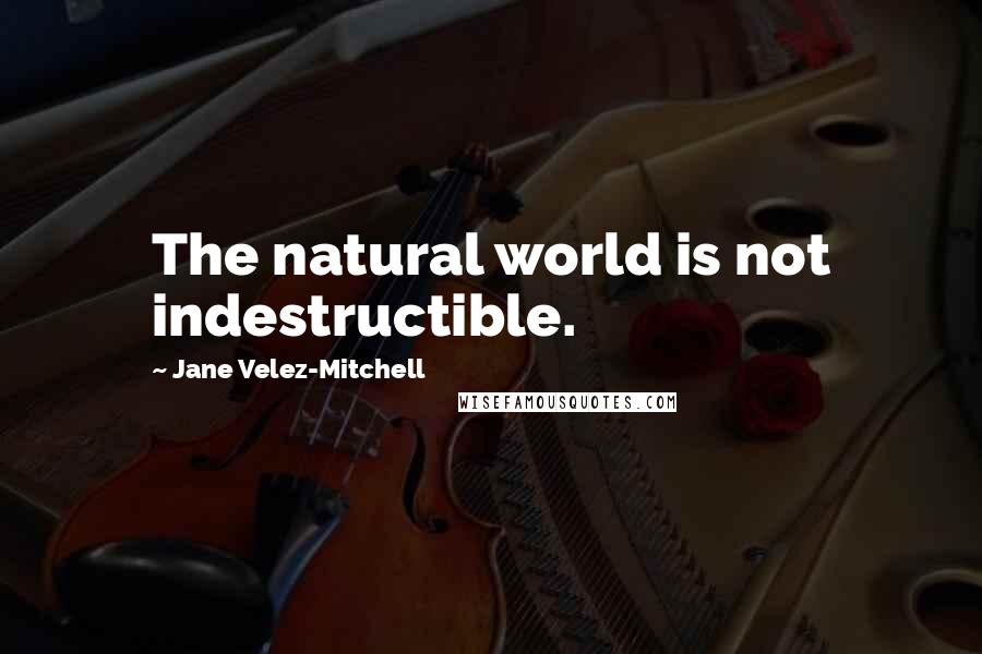 Jane Velez-Mitchell Quotes: The natural world is not indestructible.